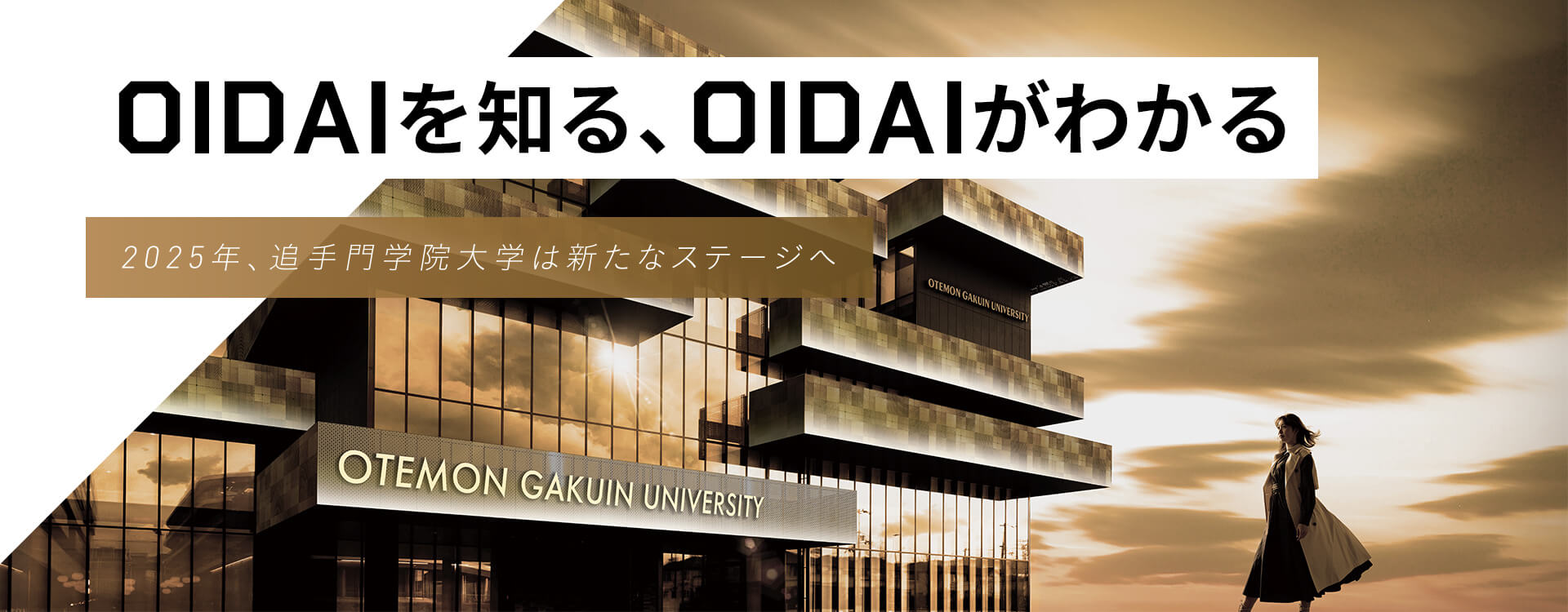 OIDAIを知る、OIDAIがわかる